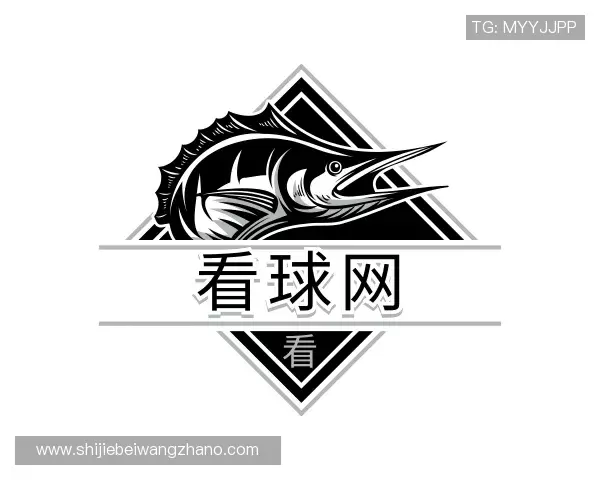 认识看球网